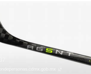 Bauer Agent